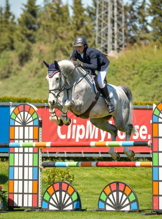 High Offley Milo - Showjumping